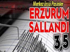 Pasinlerde orta şiddetli deprem