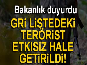 PKK'nın sözde Erzurum sorumlusu etkisiz hale getirildi