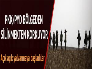 PKK/PYD ABD'nin Suriye'den çıkmasını istemiyor