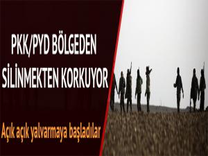 PKK/PYD ABD'nin Suriye'den çıkmasını istemiyor