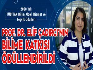 Prof. Dr. Elif Çadırcının bilime katkısı ödüllendirildi