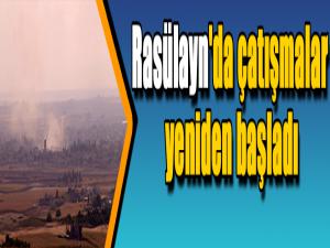 Rasülayn'da çatışmalar yeniden başladı