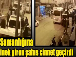 Samanlığına inek giren şahıs cinnet geçirdi