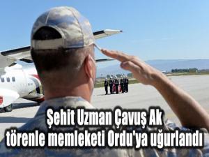 Şehit Uzman Çavuş Ak törenle memleketi Ordu'ya uğurlandı