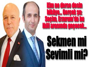 Sekmen mi Sevimli mi?