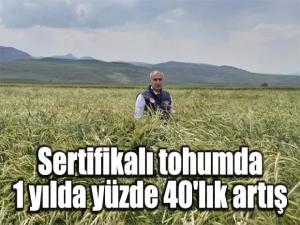 Sertifikalı tohumda 1 yılda yüzde 40'lık artış