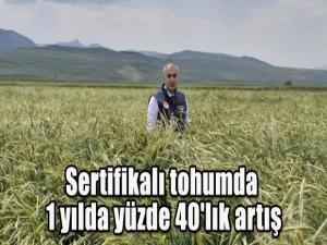 Sertifikalı tohumda 1 yılda yüzde 40'lık artış