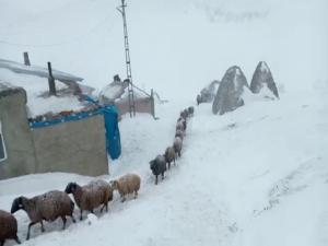 Şiddetli tipi ve fırtınanın boyutu kameralara yansıdı