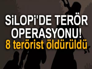 Silopi'de terör operasyonu: 8 terörist öldürüldü