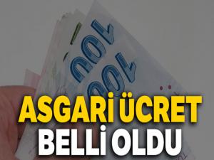 Son dakika: Asgari ücret 2 bin 20 TL oldu!