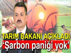 Tarım Bakanı Pakdemirli açıkladı: 