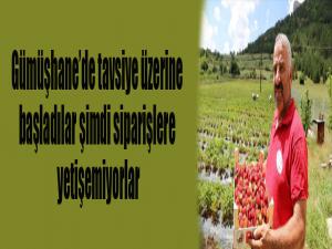 Tavsiye üzerine başladılar şimdi siparişlere yetişemiyorlar