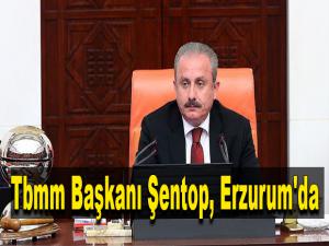  Tbmm Başkanı Şentop, Erzurum'da 