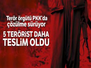 Terör örgütü PKK'da çözülme sürüyor! 5 terörist daha teslim oldu