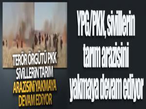 Terör örgütü YPG/PKK, sivillerin tarım arazisini yakmaya devam ediyor