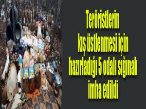 Teröristlerin kış üstlenmesi için hazırladığı 5 odalı sığınak imha edildi