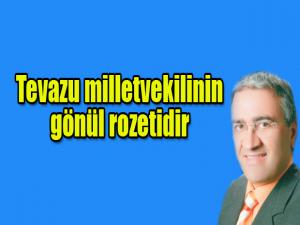 TEVAZU MİLLETVEKİLİNİN GÖNÜL ROZETİDİR