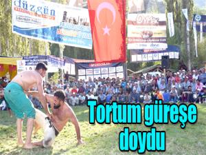 Tortum güreşe doydu