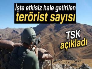 TSK: 'Etkisiz hale getirilen terörist sayısı 3 bin 530 oldu'