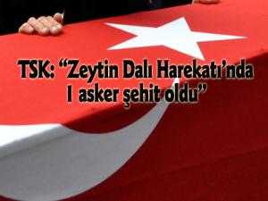 TSK: Zeytin Dalı Harekatı'nda 1 asker şehit oldu