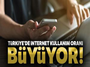 Türkiye'de internete erişim oranı yüzde 88 oldu