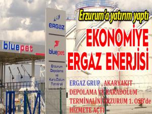 Türkiye Ekonomisine Ergaz enerjisi