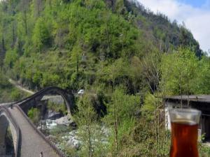 Türkiyenin havası en temiz ili Artvin oldu