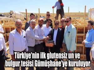 Türkiye'nin ilk glutensiz un ve bulgur tesisi Gümüşhane'ye kuruluyor