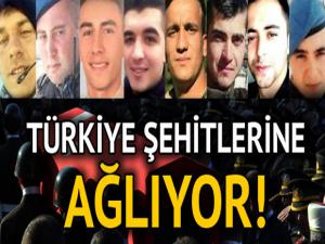 Türkiye şehitlerine ağlıyor! Acı haber ailelerine ulaştı