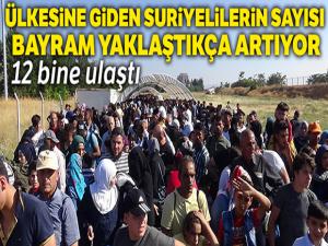 Ülkesine bayrama giden Suriyelilerin sayısı 12 bine ulaştı