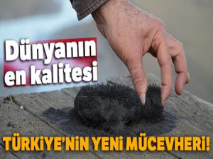 Ünye kumsallarının doğal sağlık cevheri: Manyetik siyah kum'