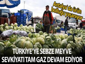 Ürün bolluğu yaşanan Antalya halinden Türkiye'ye sebze meyve sevkıyatı tam gaz devam ediyor