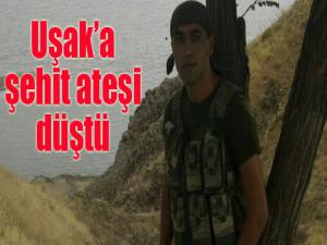 Uşaka şehit ateşi düştü