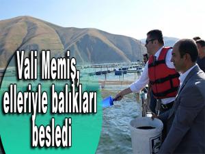 Vali Memiş, elleriyle balıkları besledi