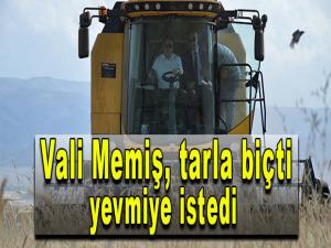 Vali Memiş, tarla biçti, yevmiye istedi