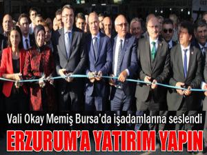 Vali Memişten iş adamlarına yatırım çağrısı