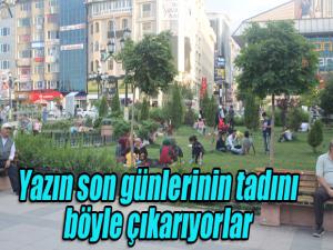 Yazın son günlerinin tadını böyle çıkarıyorlar. 