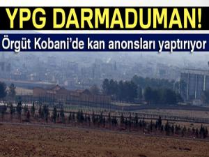 YPG büyük kayıp veriyor: Örgüt Kobanide kan anonsları yaptırıyor