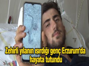 Zehirli yılanın ısırdığı genç Erzurum'da hayata tutundu