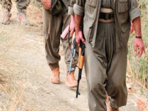 Hakkari ve Erzurum'da teröristlerin inlerinde silah ve mühimmat ele geçirildi