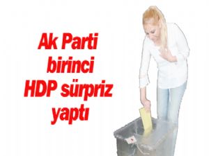AK Parti birinci  HDP sürpriz yaptı