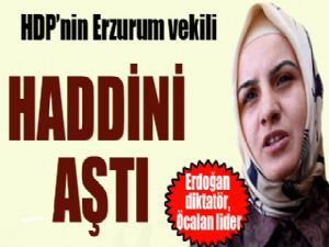 HDP'li vekilden haddini aşan açıklama...