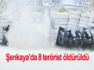 Şenkaya'da  8 terörist öldürüldü
