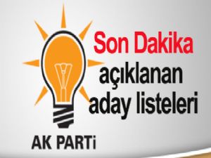 İşte AK Parti'nin aday listesi