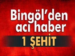 Bingöl'de zırhlı araç devrildi: 1 şehit, 2 yaralı