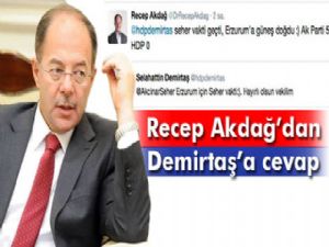 Recep Akdağ'dan Demirtaş'a cevap