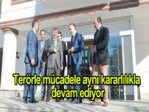 Terörle mücadele aynı kararlılıkla devam ediyor