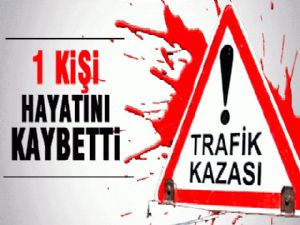 ERZURUM'DA TRAFİK KAZASI: 1 ÖLÜ