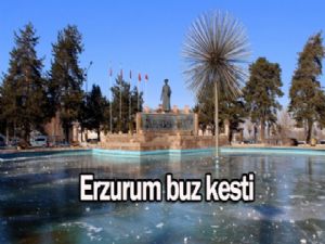 Erzurum buz kesti