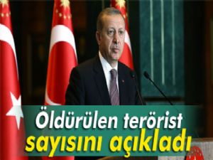 Erdoğan öldürülen terörist sayısını açıkladı